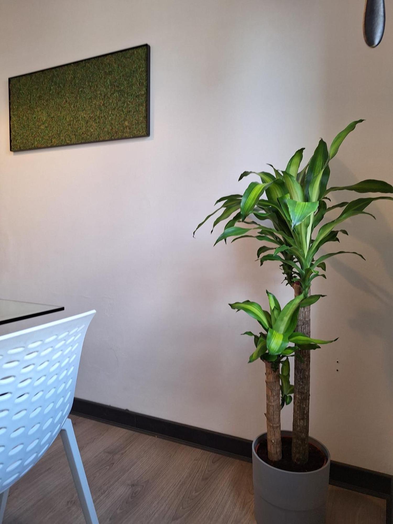 Ferienwohnung Dga Loft In Padua Center A Few Steps From Squares Exterior foto